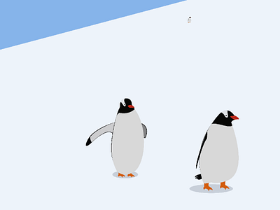 Penguin illustration penguin