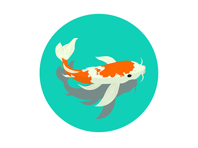 Koifish design flat flat illustration graphicdesign icon illustration vector