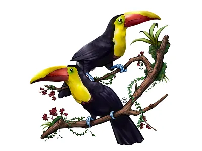 Yellow-throated Toucans Illustration amazon amazonas animals bird brasil colorful digital ecuador flower illustration jungle latin latino selva south america toucans travel trees tropical tucan