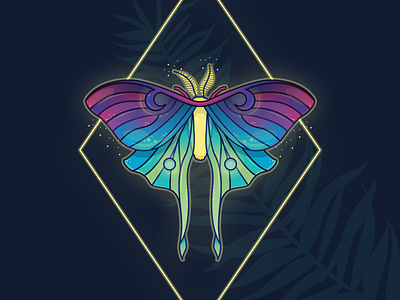 Rainbow Luna Moth