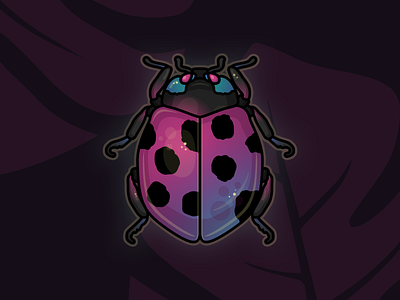 Ladybug