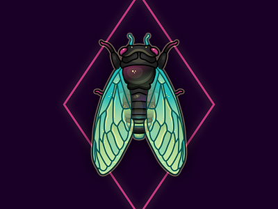 Cicada