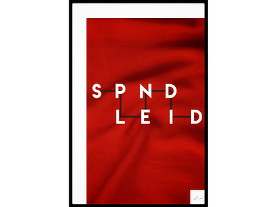 Beautiful elegant walk poster hand-designed saying "SPLENDID" adobe design poster graphic