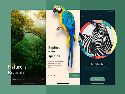 Nature App Onboarding Concept UI