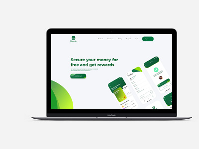 Spendr Website ui website design