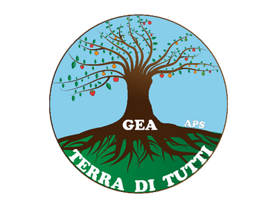 Logo illustrator logo design