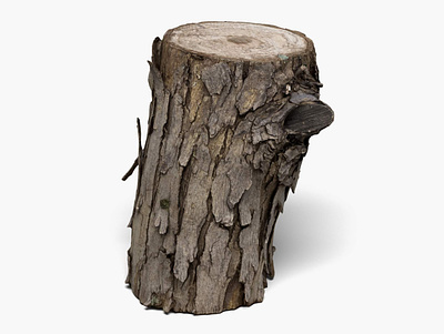 Wood Log - 8K Scan 3D Model 3d model bark branch cut log nature photogrammetry photoscan sawed scan scanned slice stump tree vray wood wooden