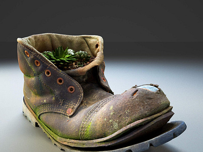 Old Boot with Plants 3D Model 3d 3d art 3d artist backyard boot borwn cactus coal house leather mine old plant raw realityscanning renderhub scan shoes soil vegatation