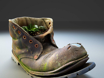 Old Boot with Plants 3D Model 3d 3d art 3d artist backyard boot borwn cactus coal house leather mine old plant raw realityscanning renderhub scan shoes soil vegatation