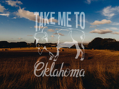 Take Me To Oklahoma bison illustration oklahoma typography