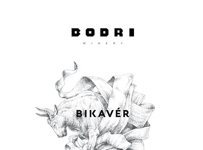 Illustration for Bodri Bikavér wine label branding graphic design illustration mihály molnár wine label