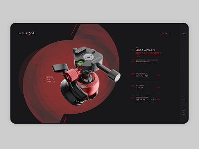 Uniqball web design, home page