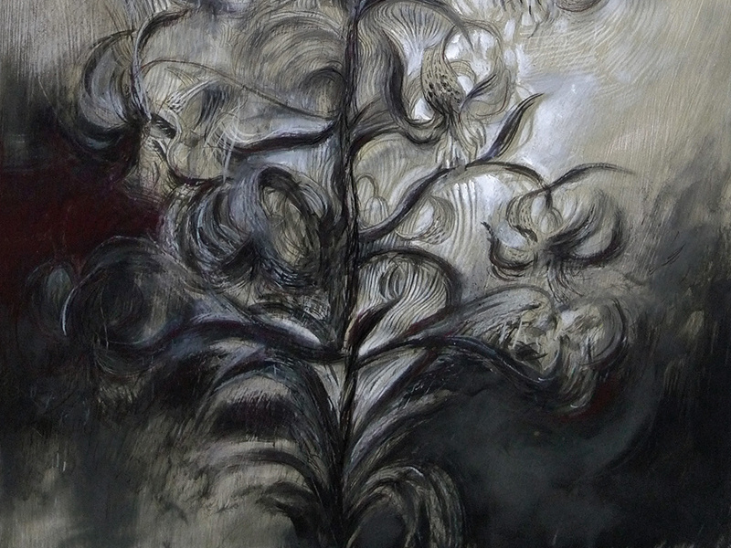 lilium - work in progress drawing hand drawn flower botanical illustration painting abstract