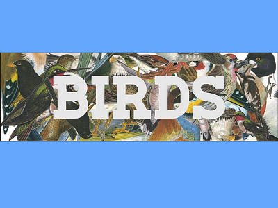 Birds Movie Poster adobe photoshop alfred hitchcock birds collage graphic design illustration movie poster typogaphy
