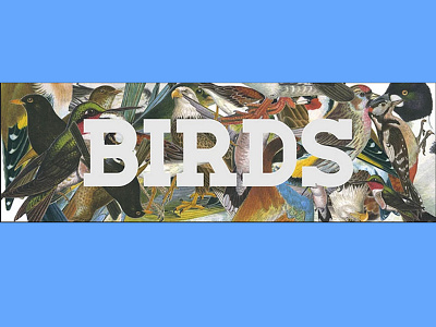 Birds Movie Poster