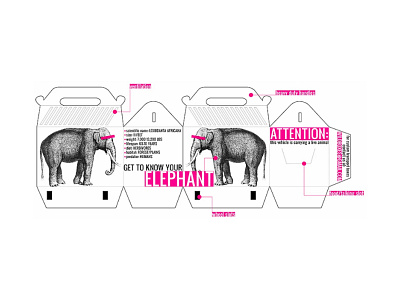 Elephant Transportation Box blackandwhite bold box elephant layout layoutdesign pink sanserif typography vector