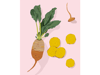 Golden Beets food illustration illustration packaging design procreate art retro illustration vegetable illustration