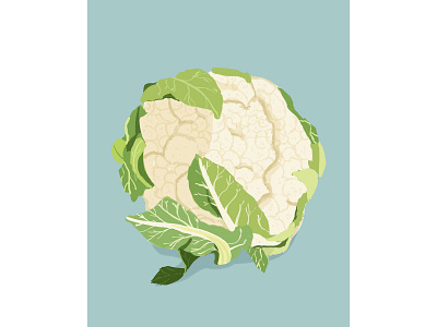 Cauliflower digital drawing food illustration hand drawn procreate art retro illustration vegetable illustration
