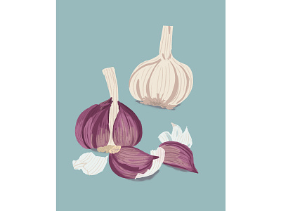 Garlics food illustration hand drawn illustration packaging design retro illustration vegetable illustration