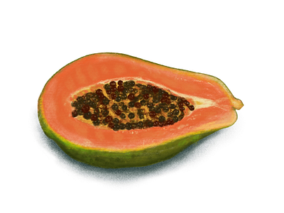 Papaya art food illustration fruit illustration ipad pro papaya procreate