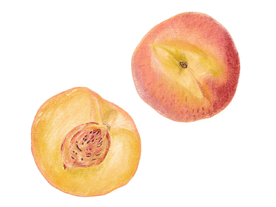 Peaches cute digital art drawing fruit illustration ipad art peach procreate