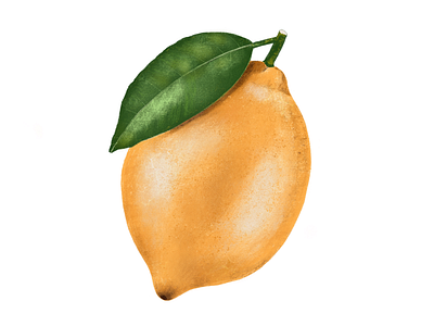 Lemon fruit illustration procreate yellow