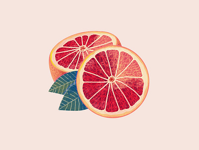 Orange art food illustration fruit illustration ipad art ipad pro makingarteveryday orange procreate