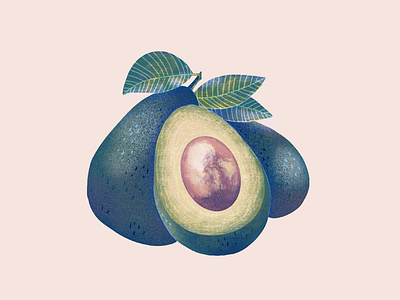 Avocado avocado food art food illustration illustration ipad art ipad pro procreate procreate art