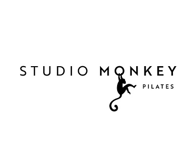 monkey logo proses story