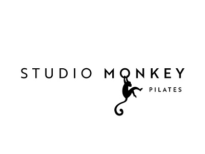 monkey logo proses story