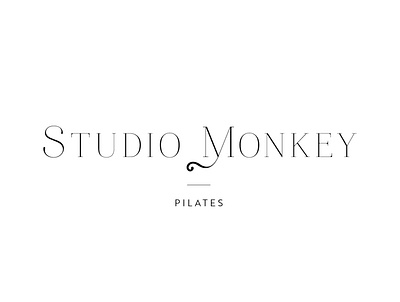 studio monkey SUNUM 04