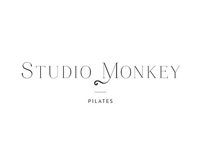 studio monkey SUNUM 04