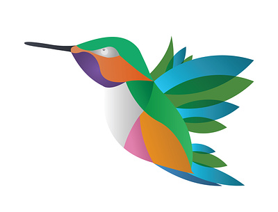 Humming Bird adobe adobe illustrator design humming hummingbird hummingbirds illustration vector