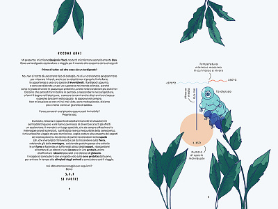 Planet Earth — An infographic children book – Pages