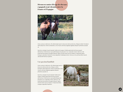 Horse breeding  |  Breeding section