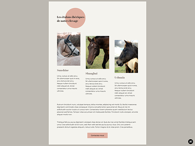 Horse breeding | Stallion section