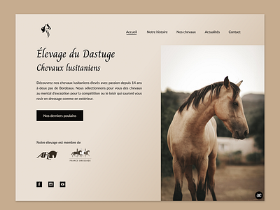 Website redesign for a Lusitano Horse Breeder