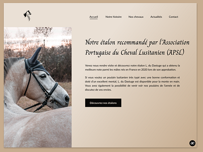 Website redesign for a Lusitano horse breeder - Part 2