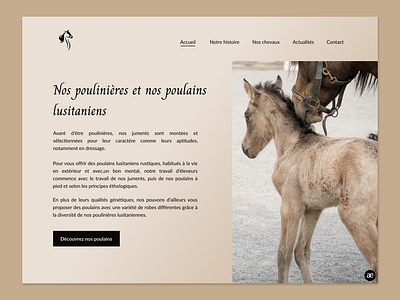 Website redesign for a Lusitano Horse Breeder - Part 3
