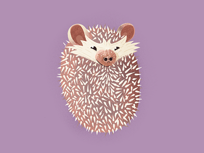 Hedgehog cute hedgehog illustration