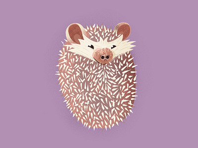 Hedgehog cute hedgehog illustration