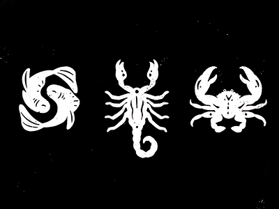 Some star signs crab fish illustration scorpion star signs
