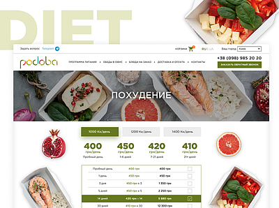 Healthy Food Delivery Website design ui ux web website