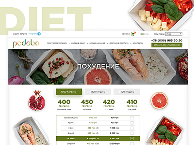 Healthy Food Delivery Website