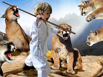 Epic Cougar Battle battle cougars karate