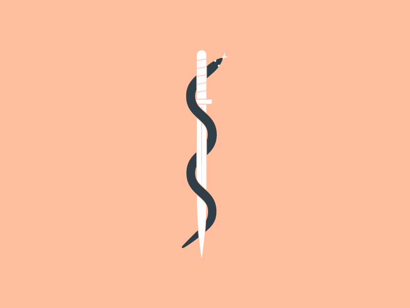 Sword & Snake digital icon illustration logo salmon simple snake sword