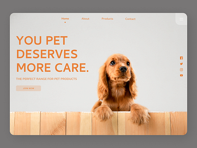 Pets Care Web Design accessories branding design landing page landing page concept logo ui