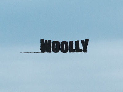 Woolly - Logo and Brand Identity branding design graphic design hand lettering hand lettering logo identity illustration lettering logo wool