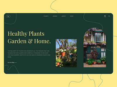 Garden & Home | Concept Design clean clean ui creative dailyui design homepage illustration minimal ui ui design uiux ux