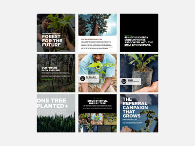 One Tree Planted x Mortarr branding climate design environment one tree planted social media sustainability typogaphy